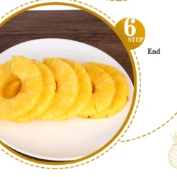 pineapple_tool_with_detachable_handle_klip2deal