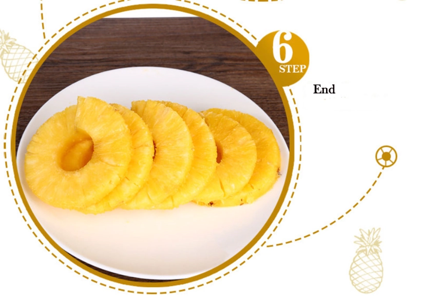 pineapple_tool_with_detachable_handle_klip2deal